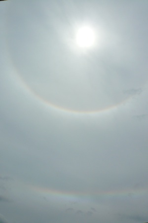 20100531_saiun1.jpg